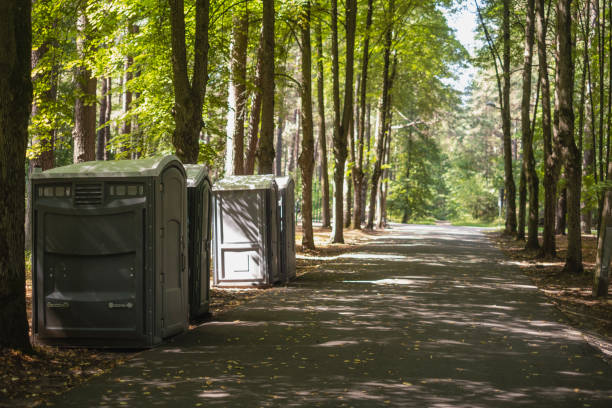 How Our Tree Care Process Works  in  Newport, NC